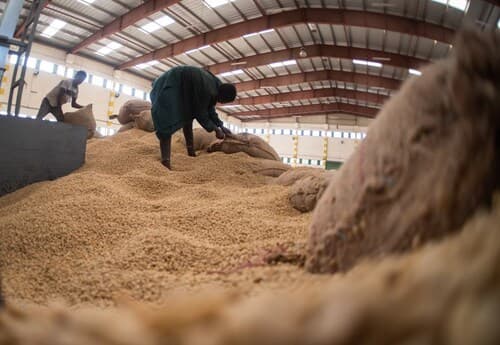 DIRECT TRADE PARTNERSHIPS: SUPPORTING ETHIOPIAN FARMERS