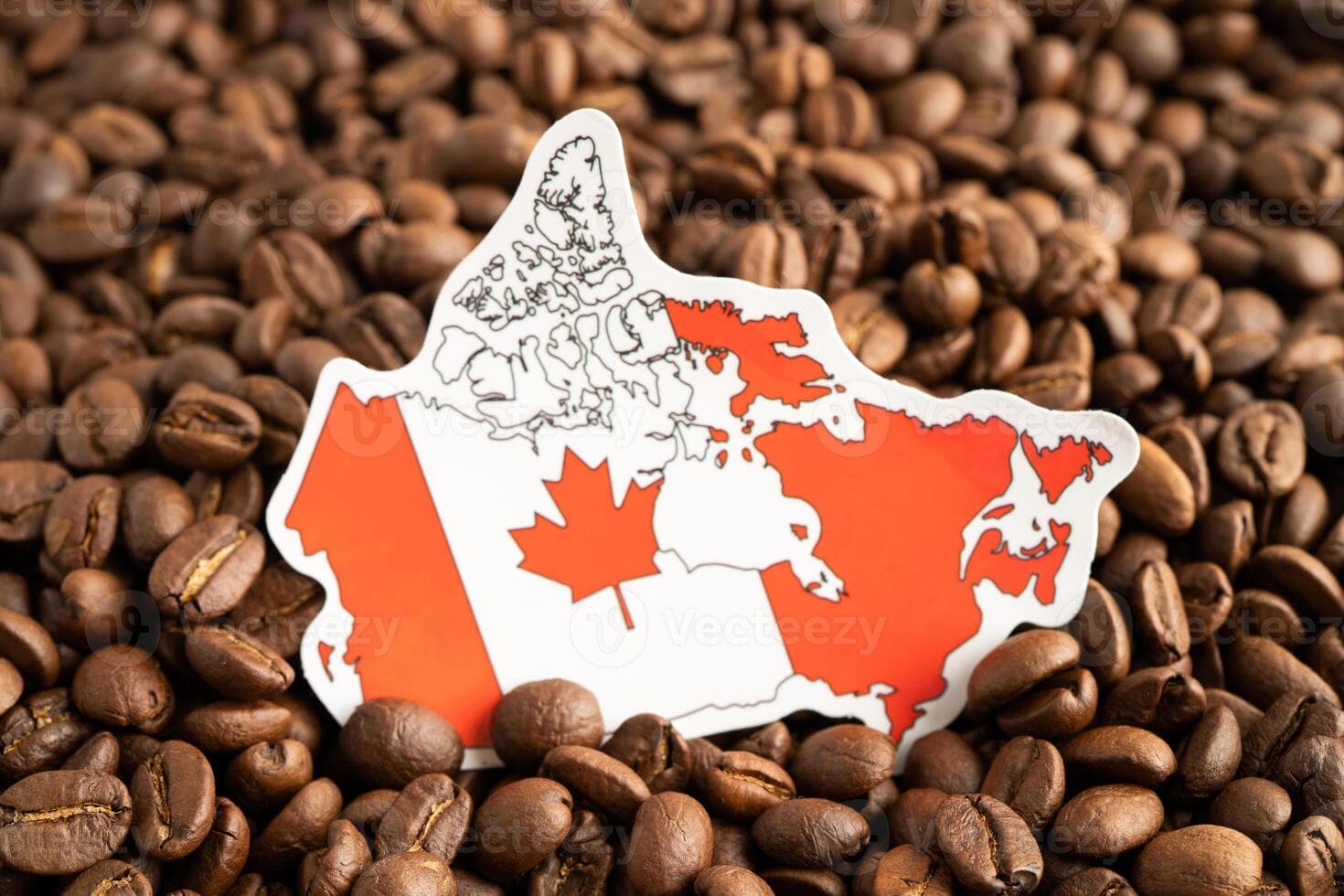 Importing Ethiopian coffee to Canada - CFIA regulations CBSA customs