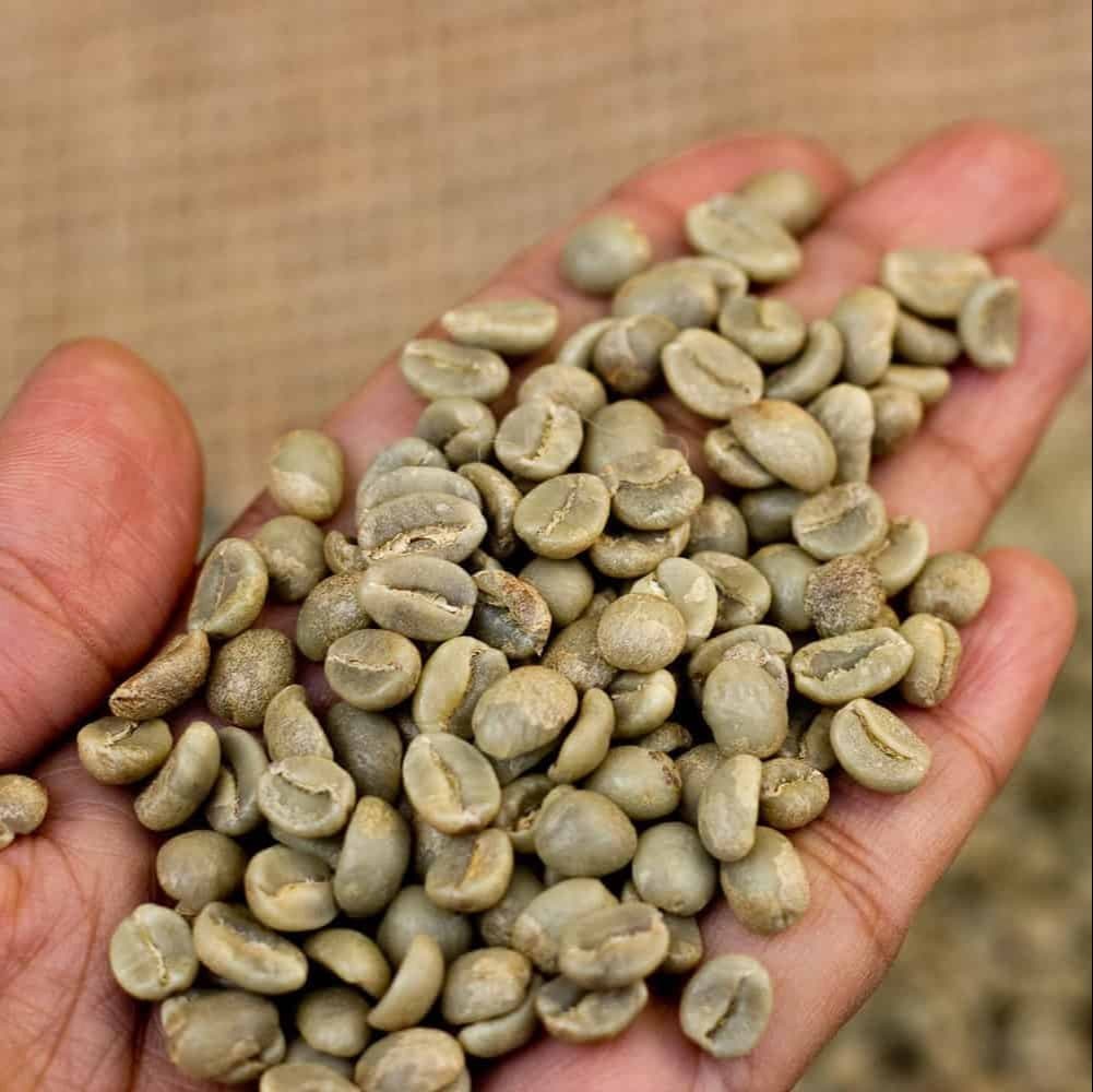 Ethiopian dry coffee production and quality control processing facilities