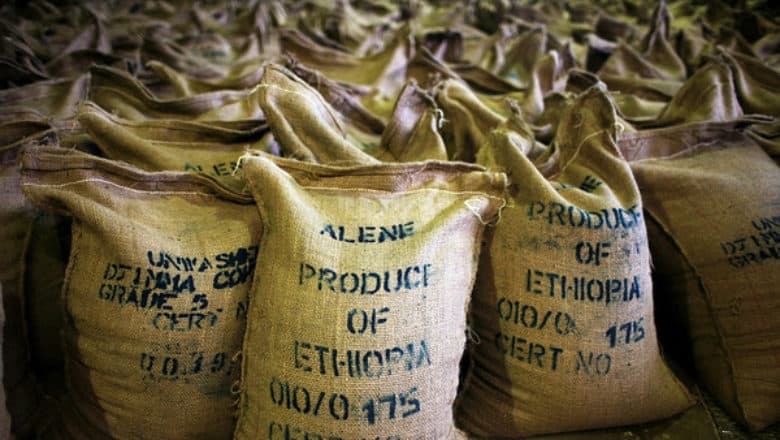 Ethiopian coffee exporter - green coffee beans for roasters