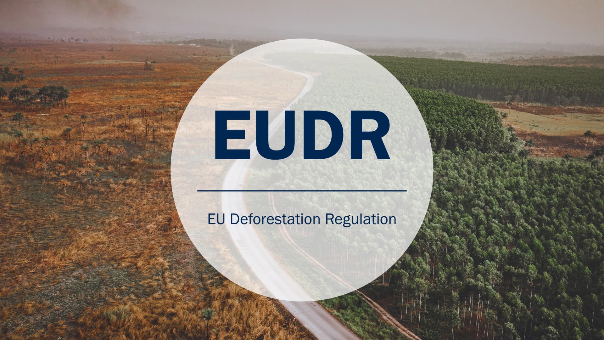 EU deforestation regulation Ethiopian coffee compliance EUDR requirements
