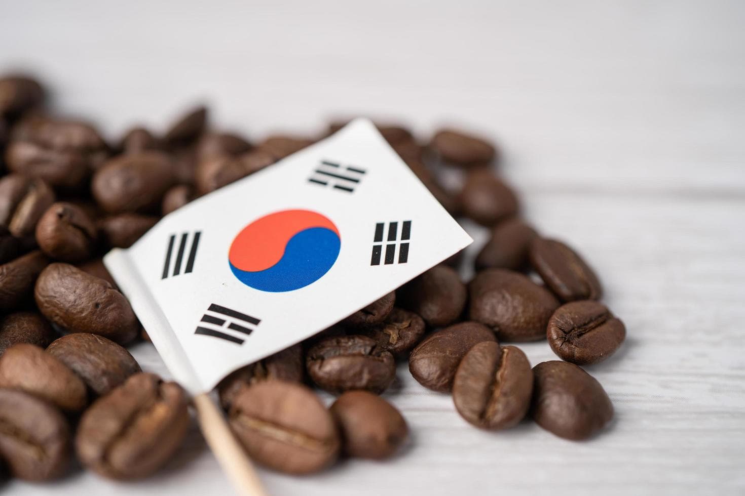 Importing Ethiopian coffee to South Korea - MFDS regulations Korea Customs procedures