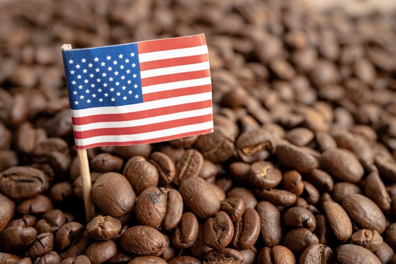 Importing Ethiopian coffee to United States USA