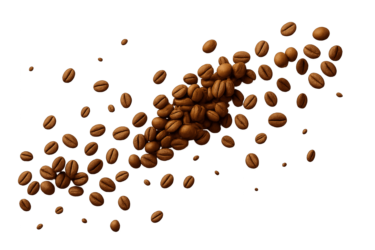 Premium Ethiopian coffee packaging featuring specialty grade beans for wholesale partners